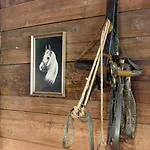 Harfenwirt #ski-in Ski-out