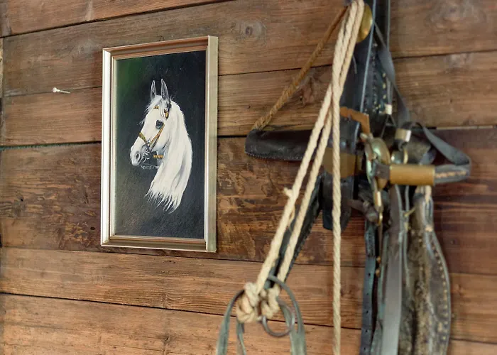 Harfenwirt #ski-in Ski-out