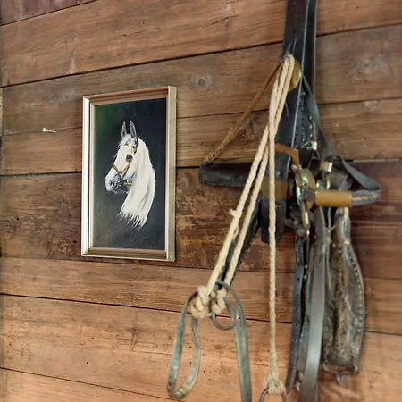 Harfenwirt #ski-in Ski-out